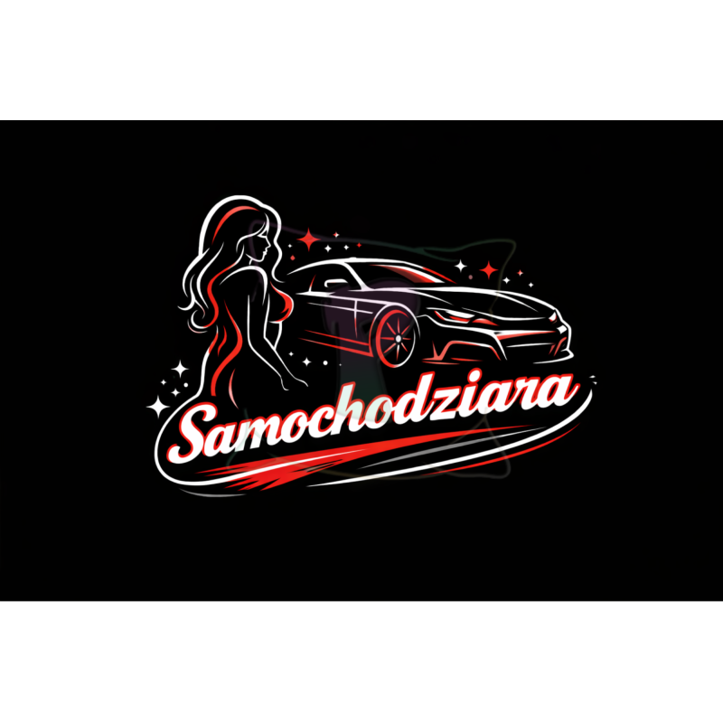 Poduszka na zagłówek 30x20 Samochodziara